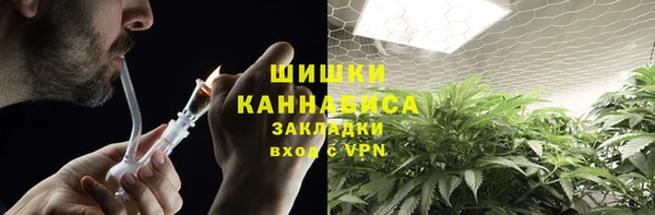 шишки Алексин