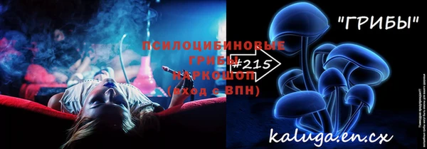 шишки Алексин