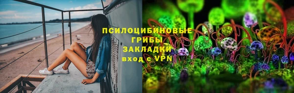 ГАЛЛЮЦИНОГЕННЫЕ ГРИБЫ Алзамай