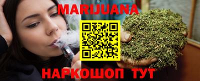 стаф Можга
