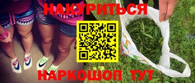 стаф Можга