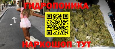 стаф Можга