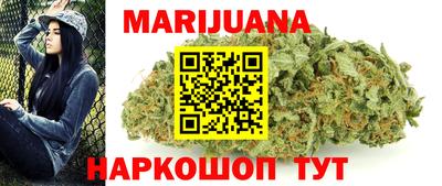 стаф Можга