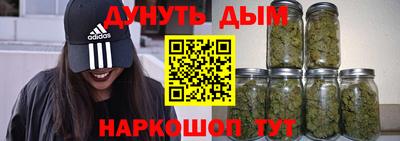 стаф Можга