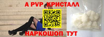 стаф Можга