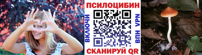 Галлюциногенные грибы MAGIC MUSHROOMS Кольчугино